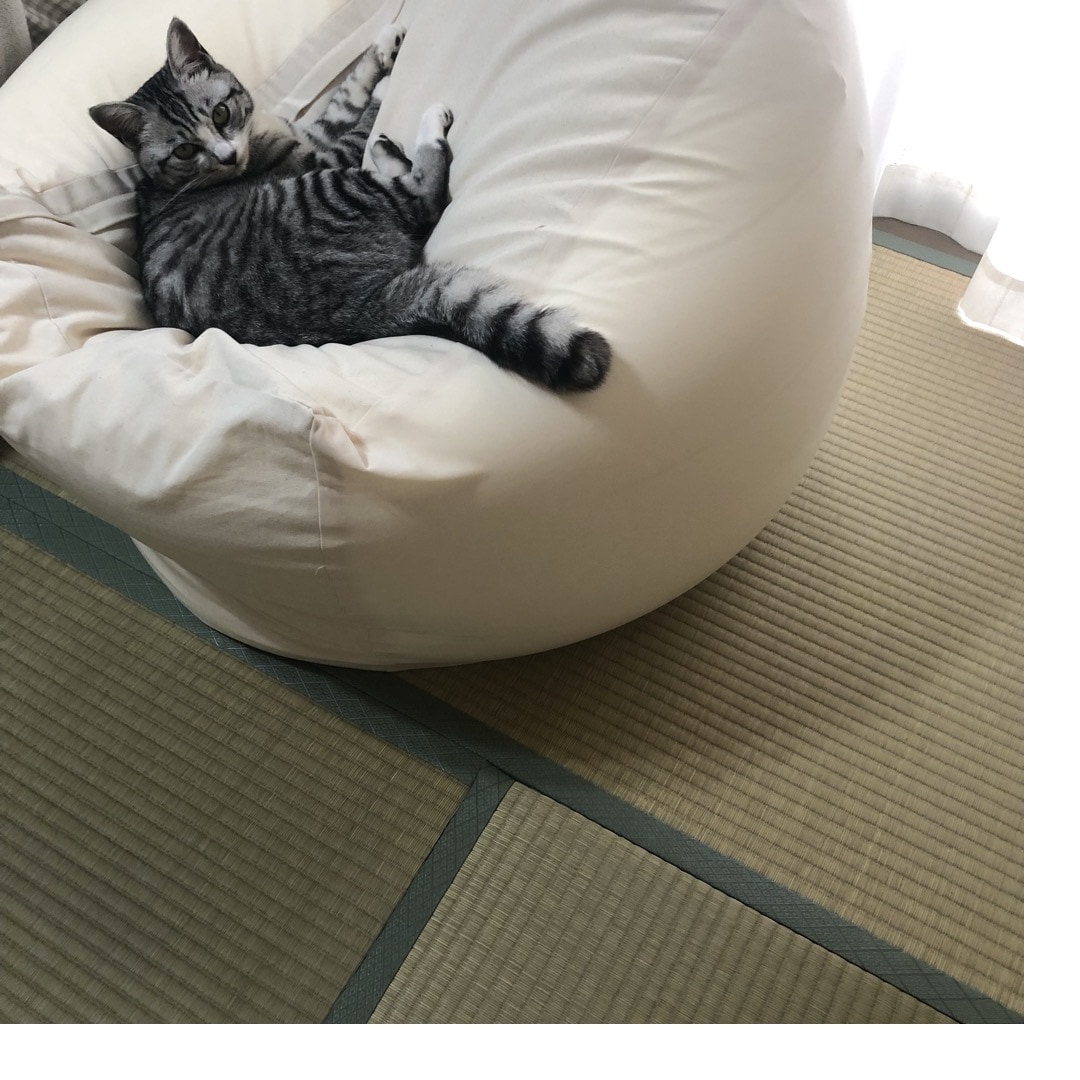 MUJI (無印良品) - ねこさま☆美品！無印良品 体にフィットするソファ ミニ MUJI (無印良品) - ねこさま☆美品！無印良品 体にフィットする